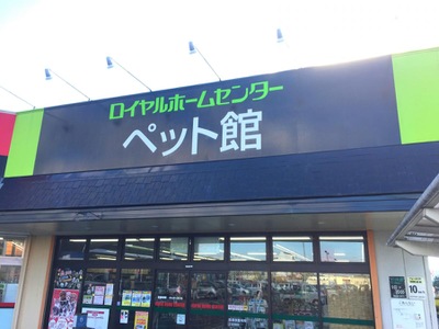 マーケットピア ロイヤルホームセンター枚方店