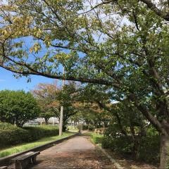 室見川河畔公園