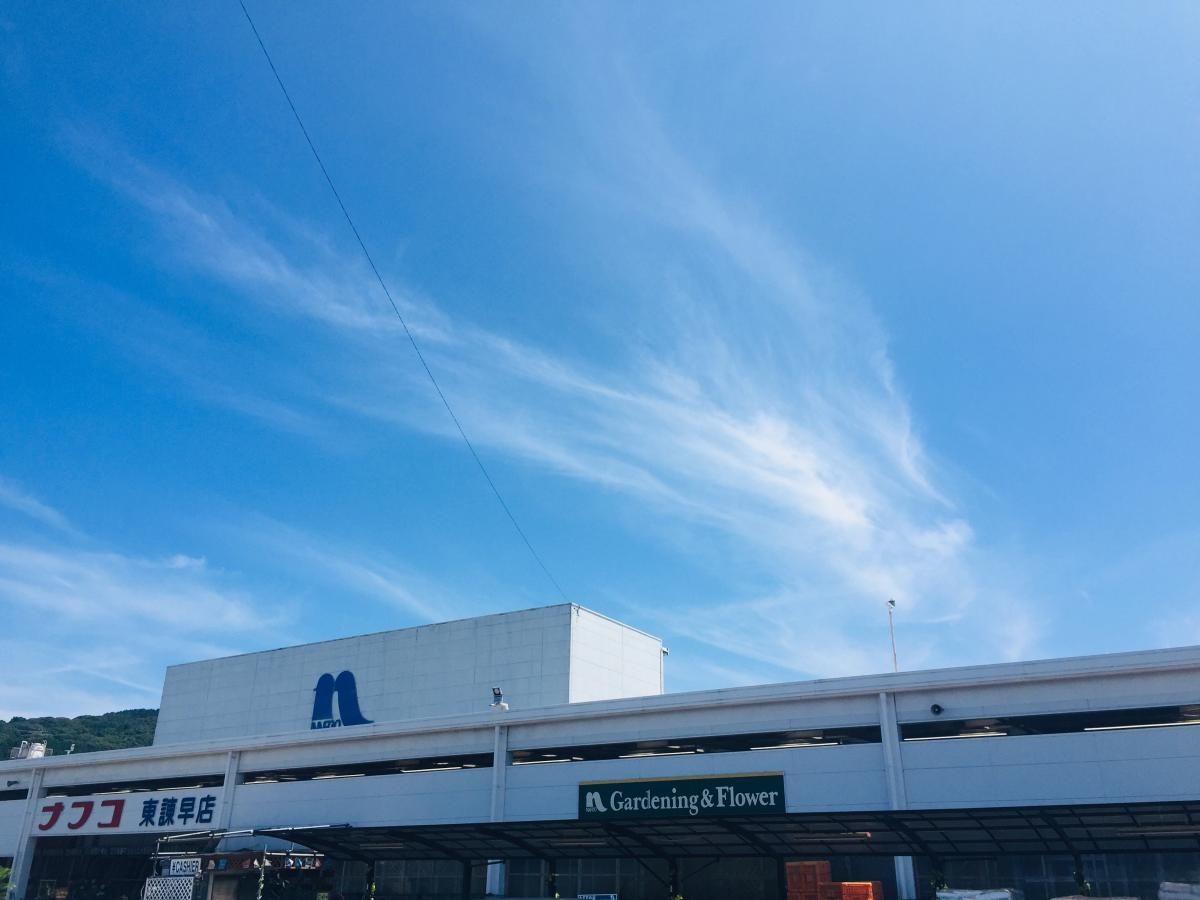 ホームプラザナフコ東諫早店家具21スタイル
