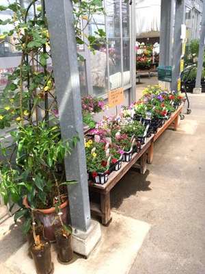 マーケットピア 幸田憩いの農園 額田郡幸田町大草