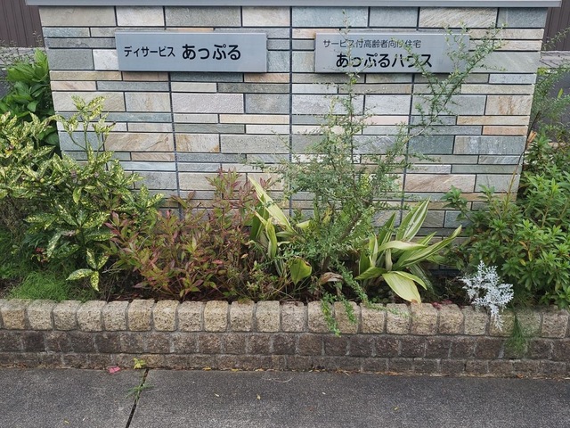 サービス付き高齢者向け住宅　　あっぷるハウス