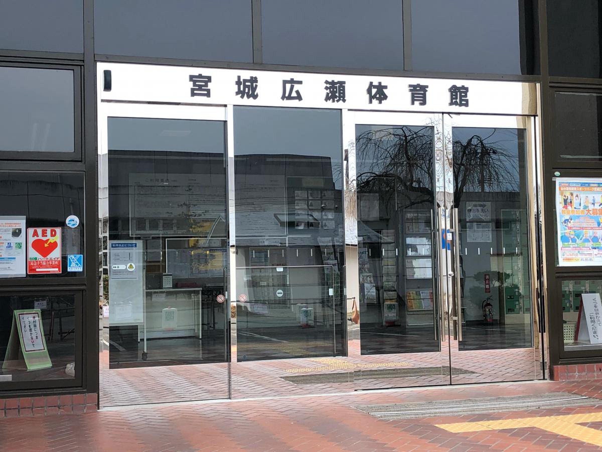 公の場での発言・インタビュー報道記録