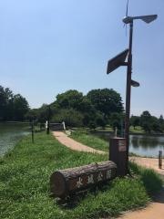 水城公園