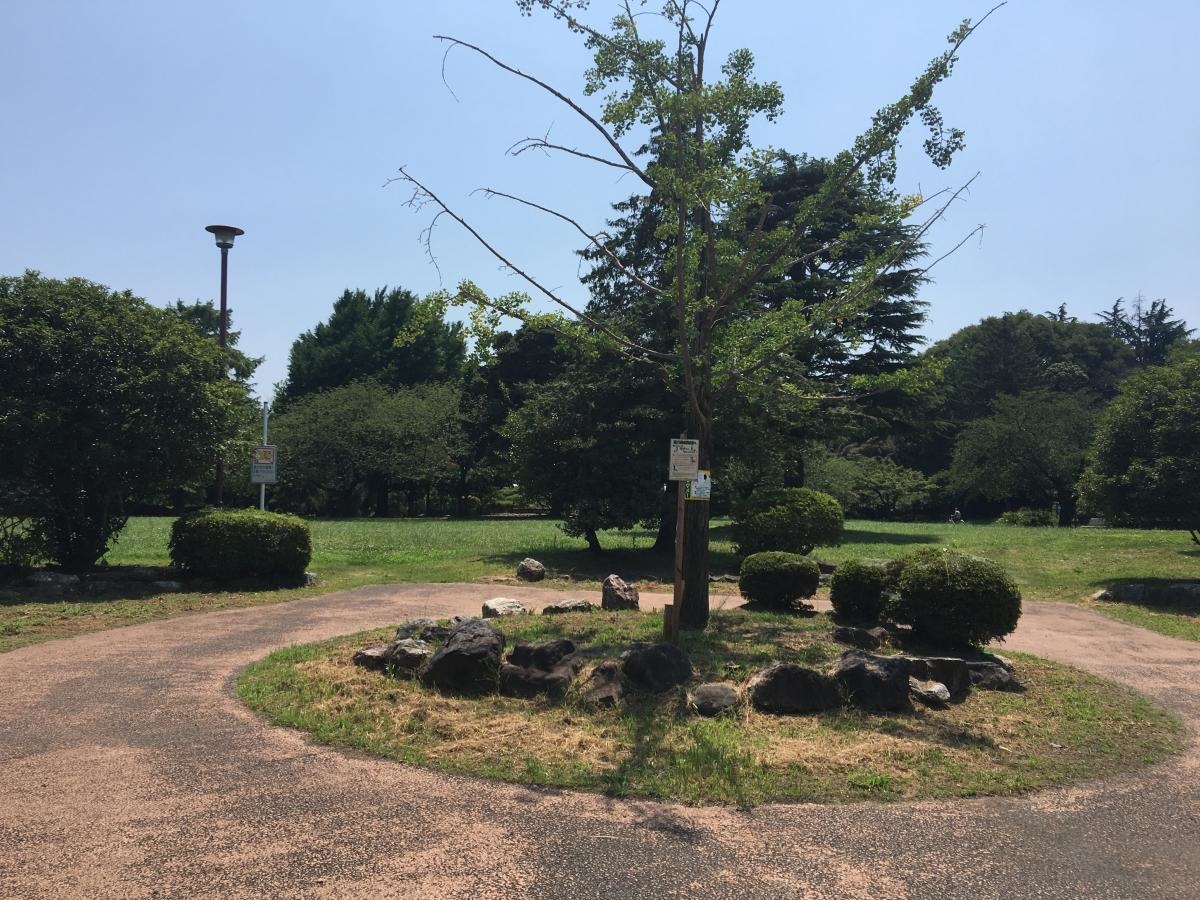 水城公園