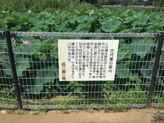 施設写真22