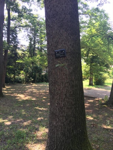 施設写真20