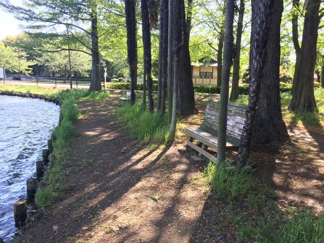 施設写真39