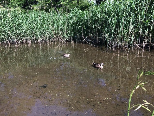施設写真38