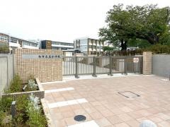 土小学校