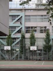 墨田区立竪川中学校
