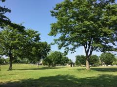 三本柳中央公園