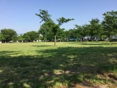 三本柳中央公園