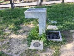 三本柳中央公園