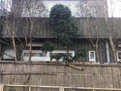 寿庵忠左衛門