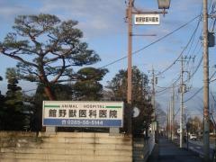 舘野獣医科医院