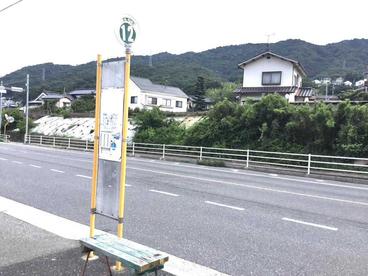 全景です。