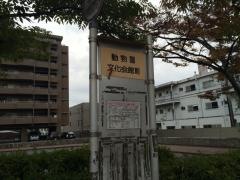 「動物園文化会館入口(北側)」バス停留所