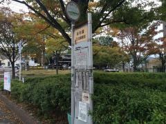 「動物園文化会館入口(北側)」バス停留所