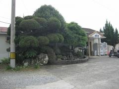 桑野駅