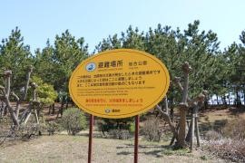 総合公園