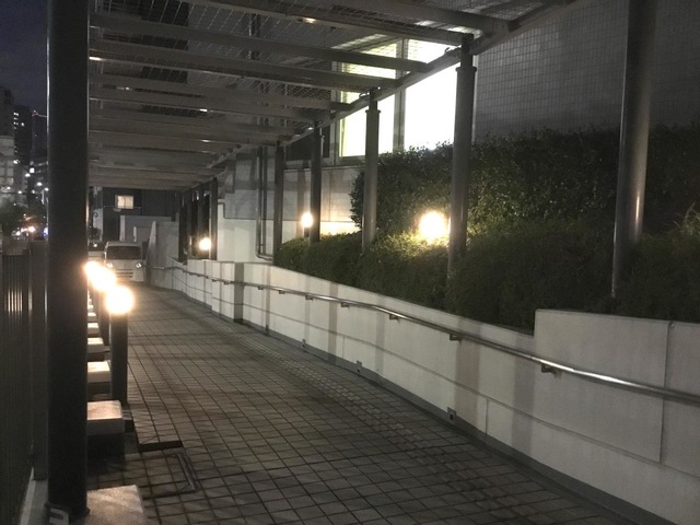 マイホーム新川 夜景