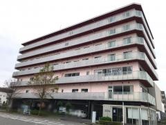 すこや家・北新横浜