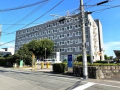 「市役所」バス停留所