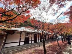水子の寺文珠院地蔵寺