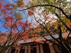 水子の寺文珠院地蔵寺