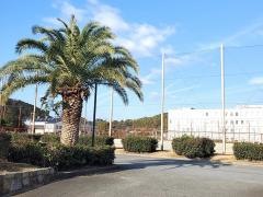 津名臨海運動公園