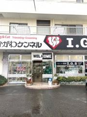 すかがわケンネル