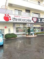 すかがわケンネル