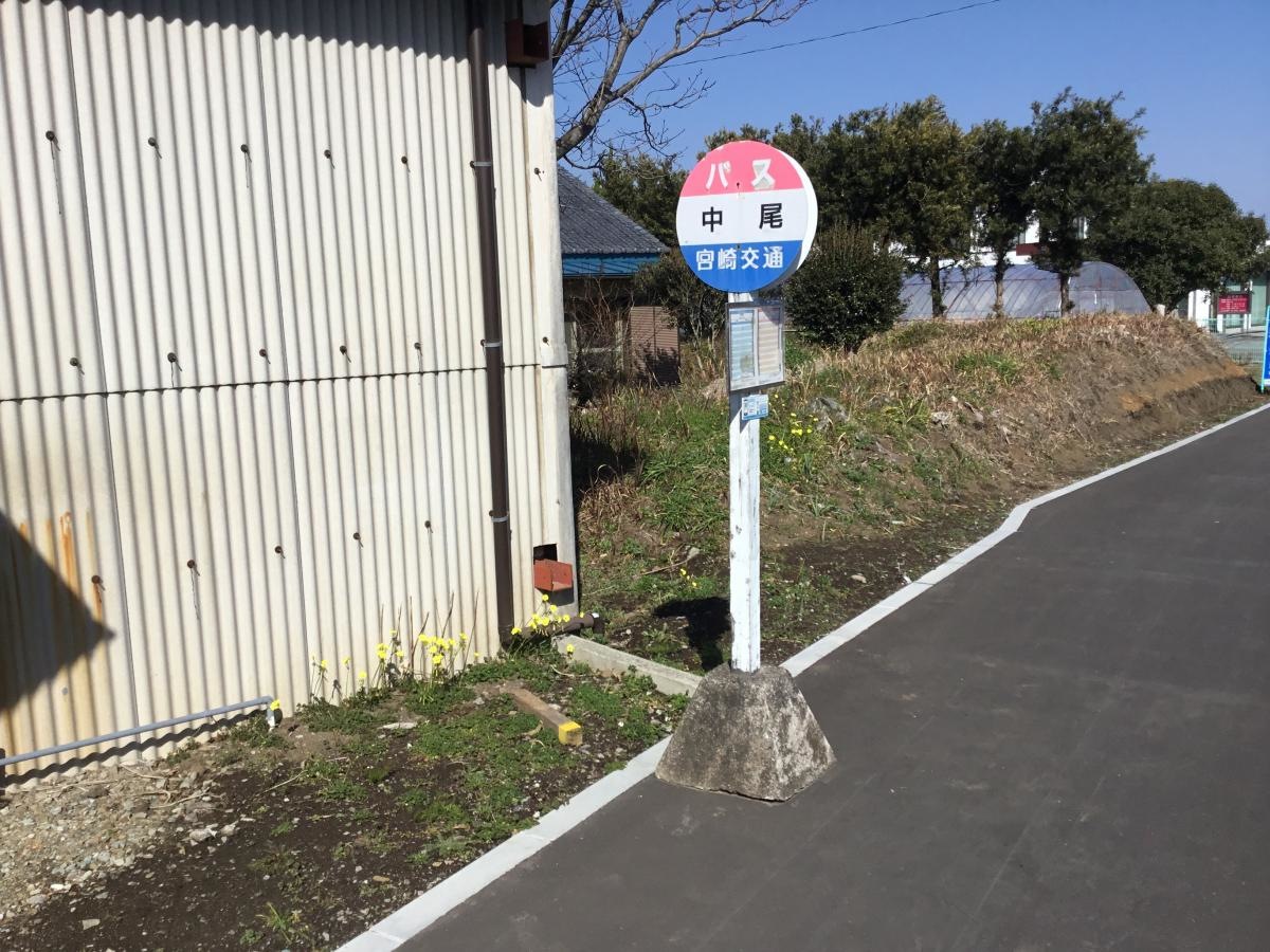 全景です｡