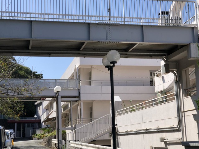 シャローム 雰囲気