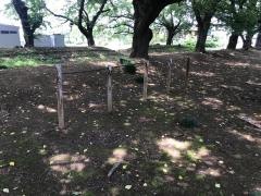 県民運動公園