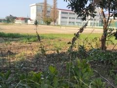 吉川市立東中学校