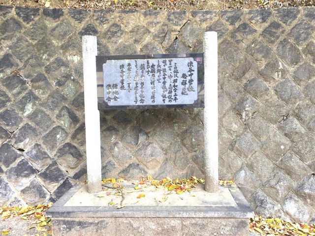 投稿写真1