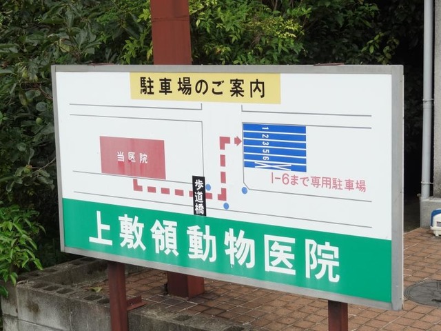 投稿写真1