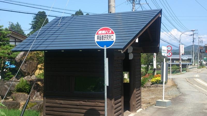 全景
