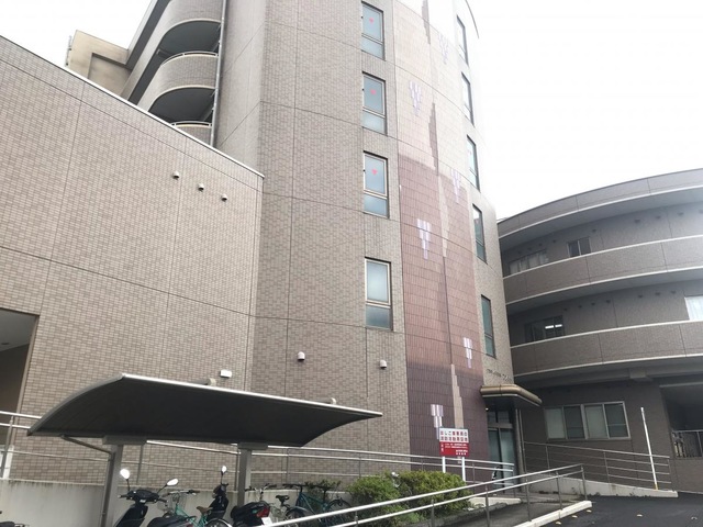 フジタ