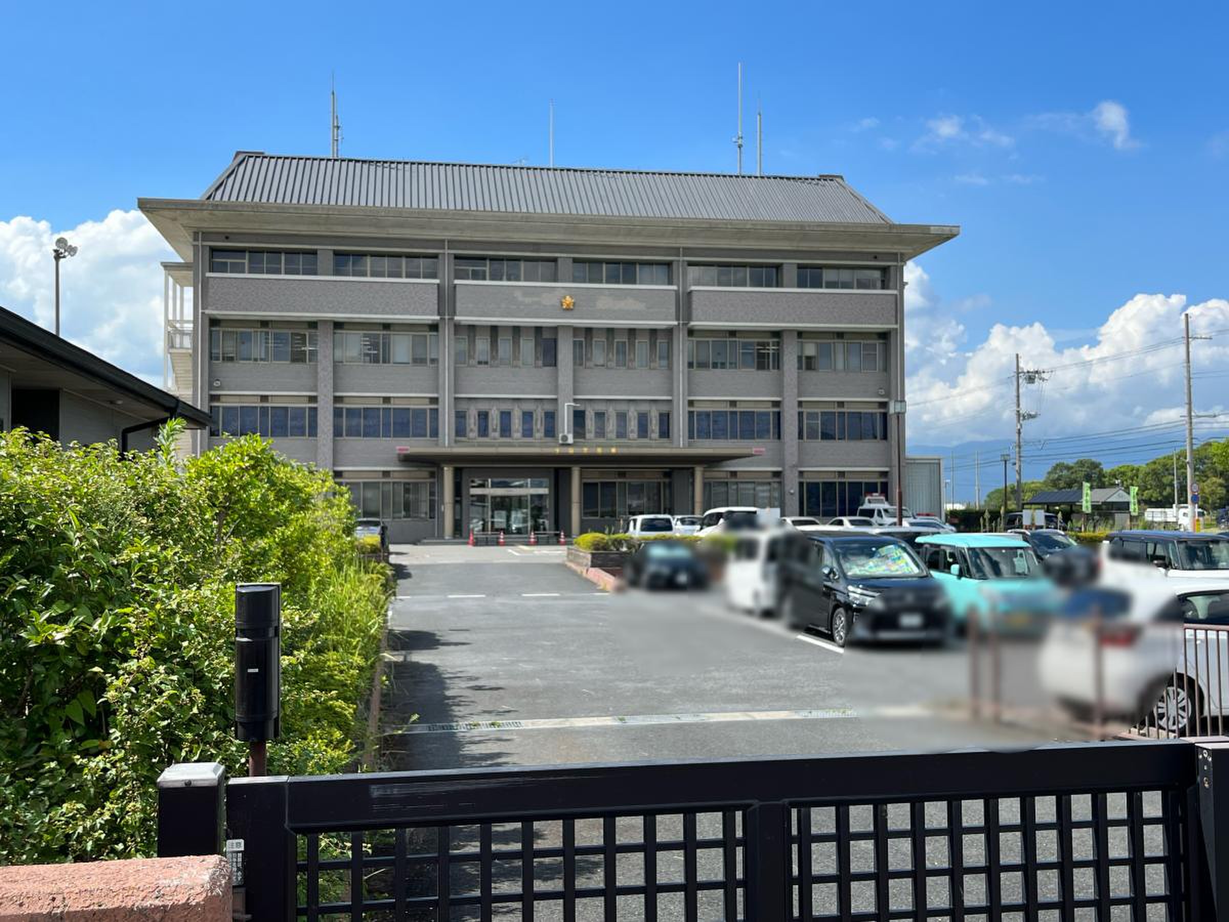 活動歴および当時の関連ビジュアル記録