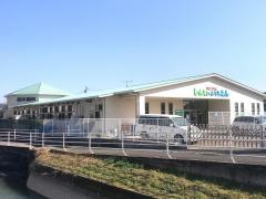 新栄幼稚園