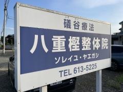 八重樫整体院