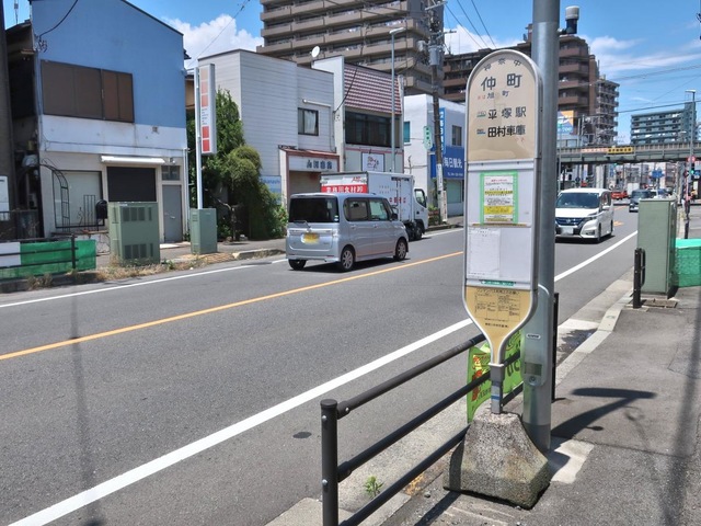 投稿写真7