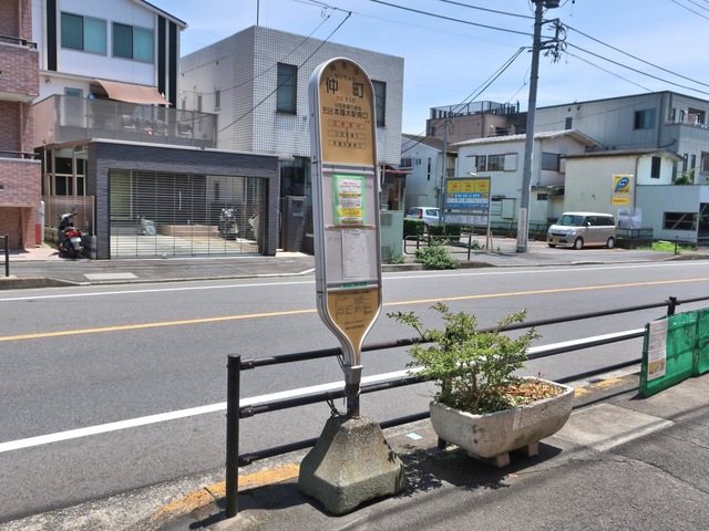 投稿写真2