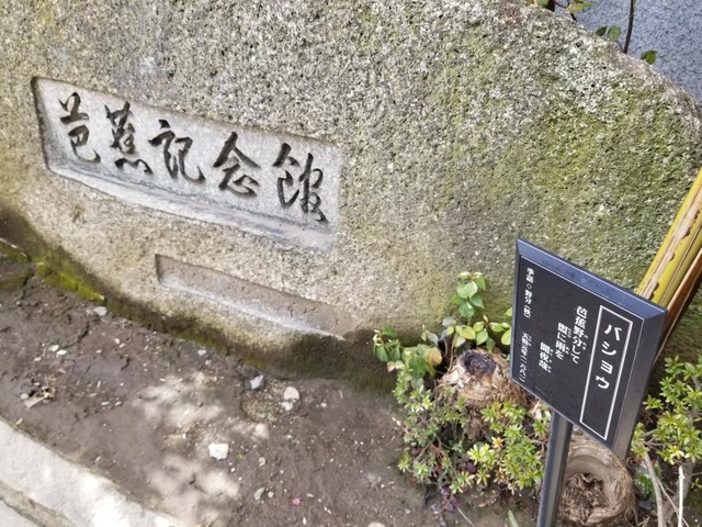 投稿写真7