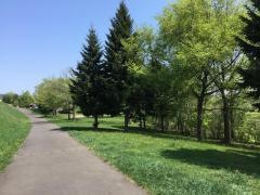南が丘公園