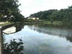 五十公野公園