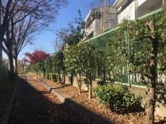 山手緑道