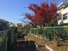 山手緑道
